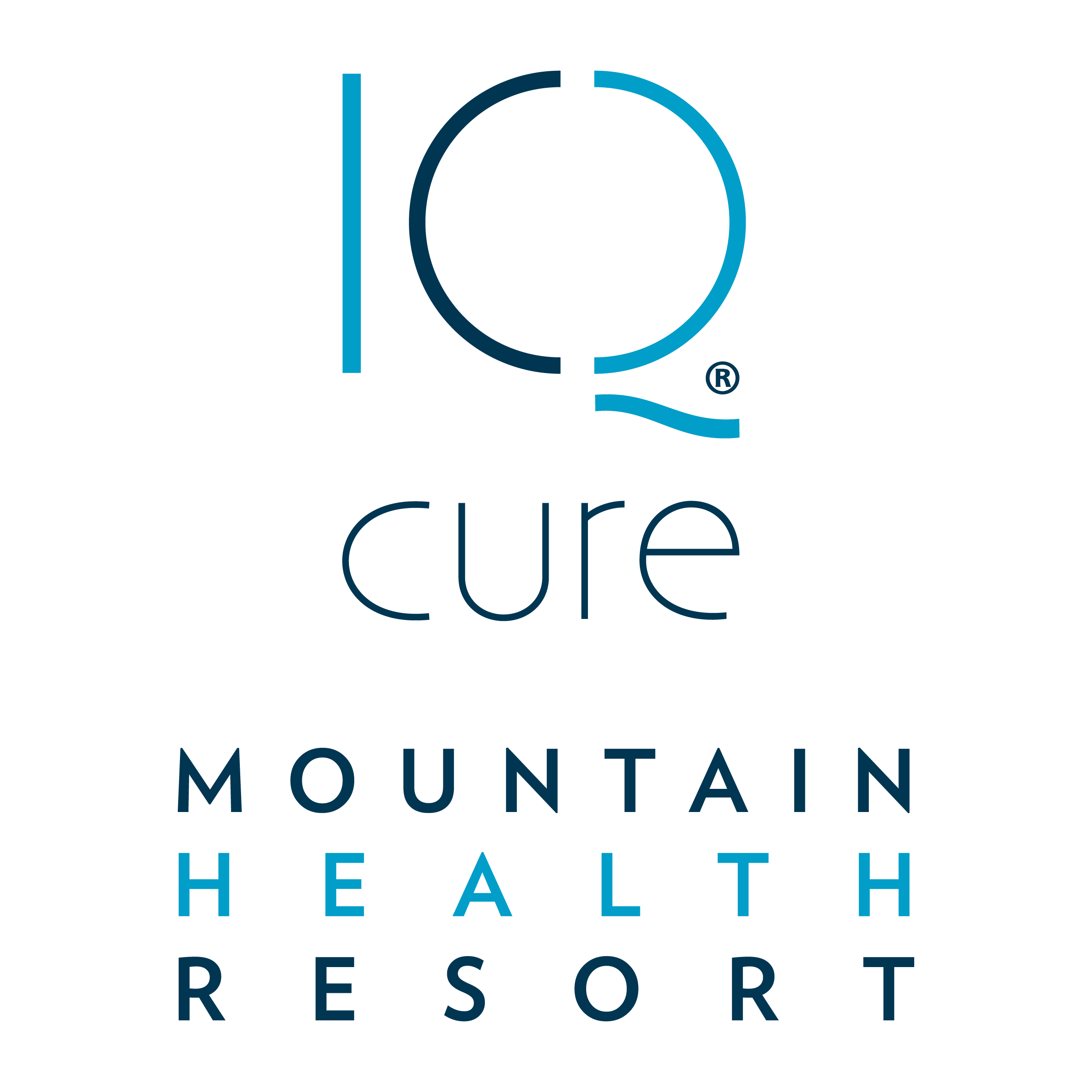 Gesundheitsmarketing - Holistic Health - Mountain Health Resort - Logo