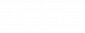 niche destination