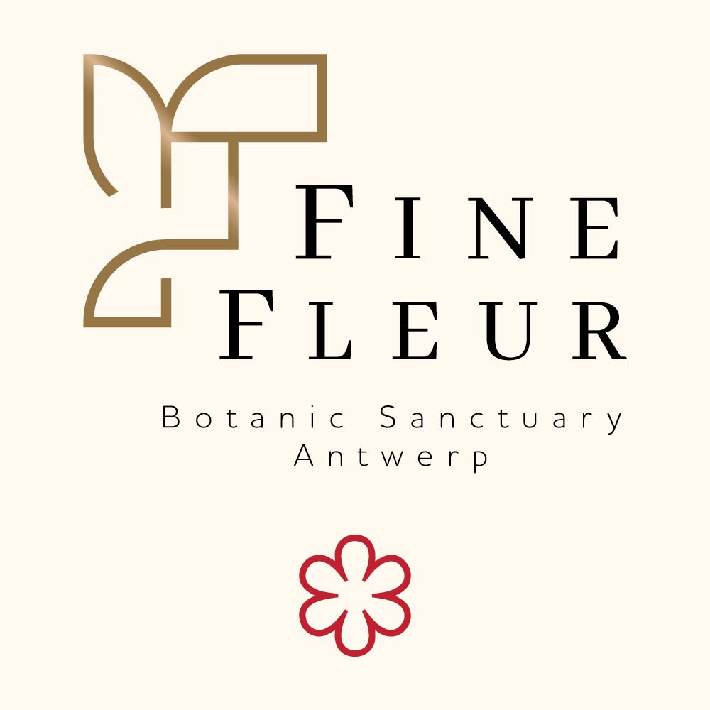 Guide Michelin Fine Fleur Stargazing Gastronomy Botanic Sanctuary Antwerp 1 Stern