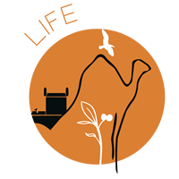 Pur-Life-Maroc-Logo-4 niche destinations