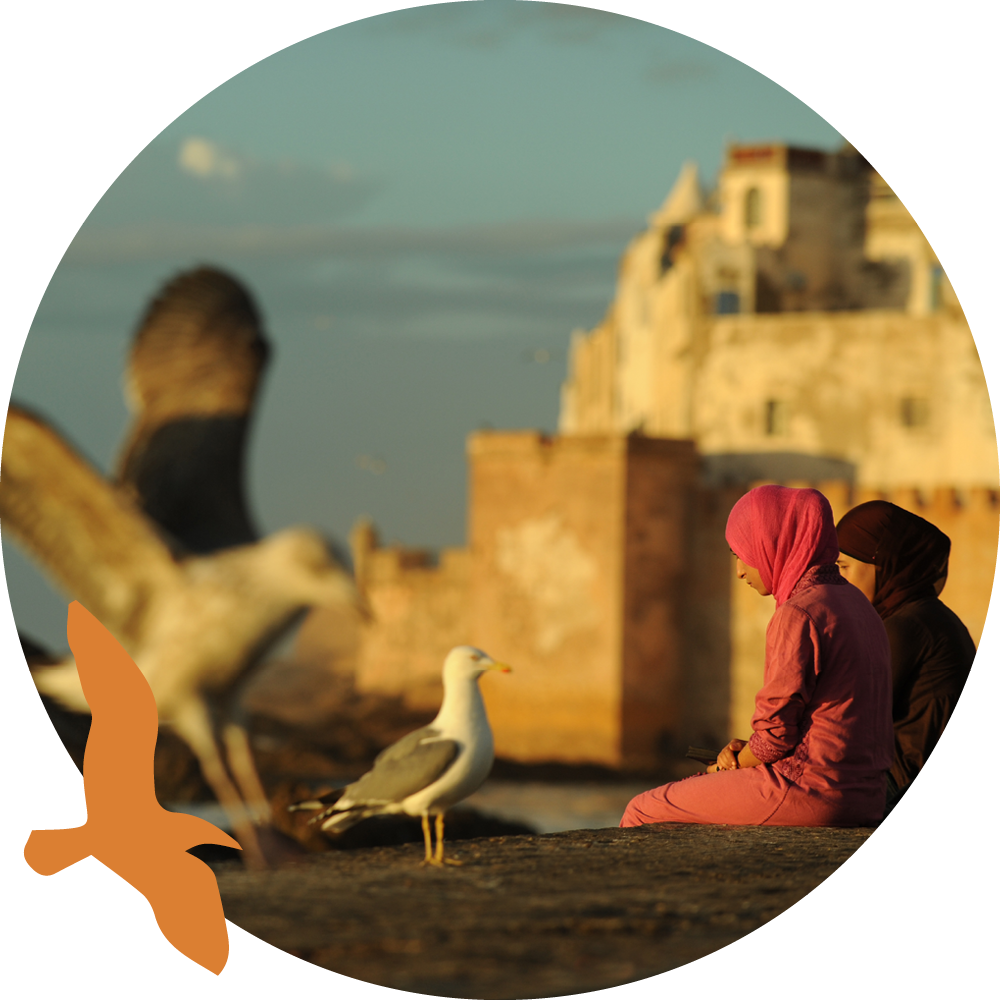 Purlife Maroc