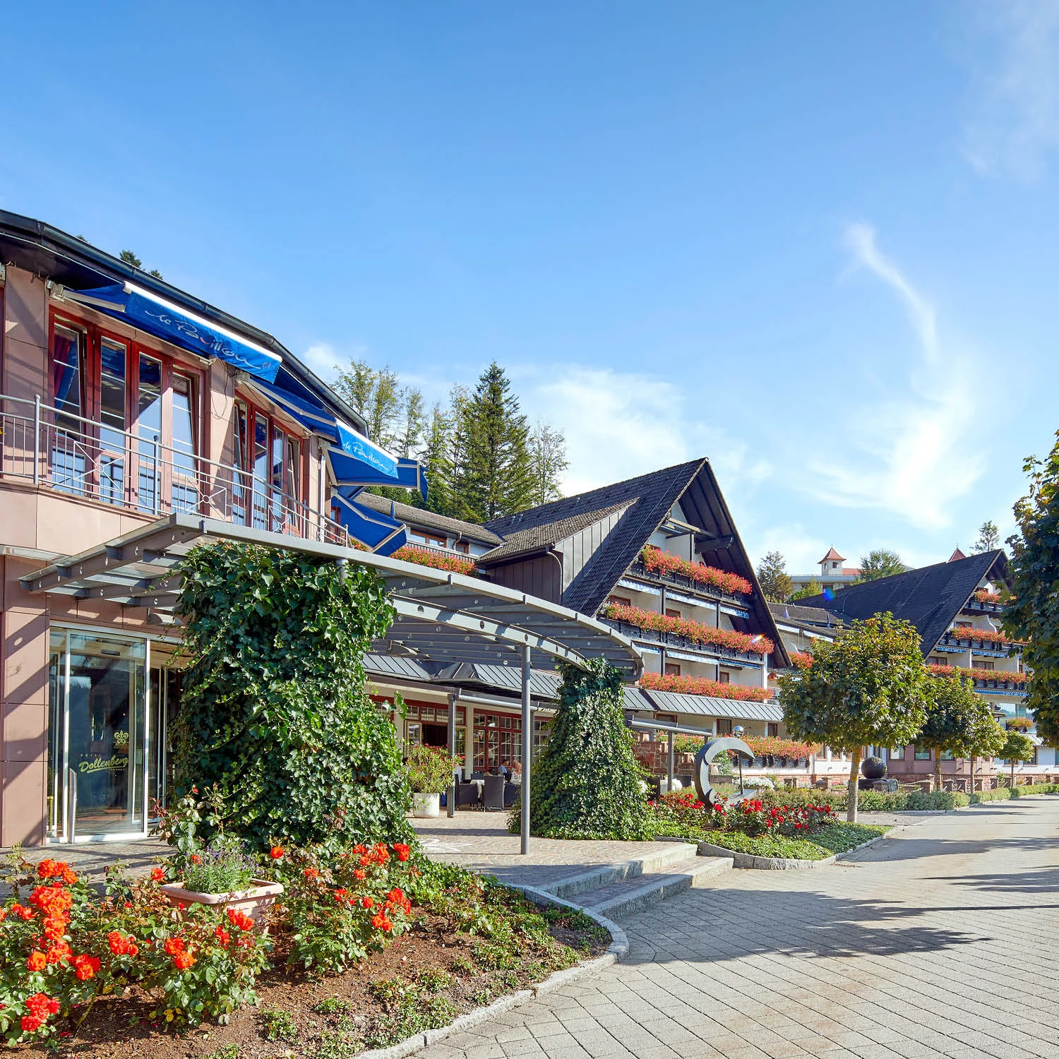 marketing deluxe portfolio Dollenberg Schwarzwald Resort marketing deluxe portfolio Dollenberg Schwarzwald Resort