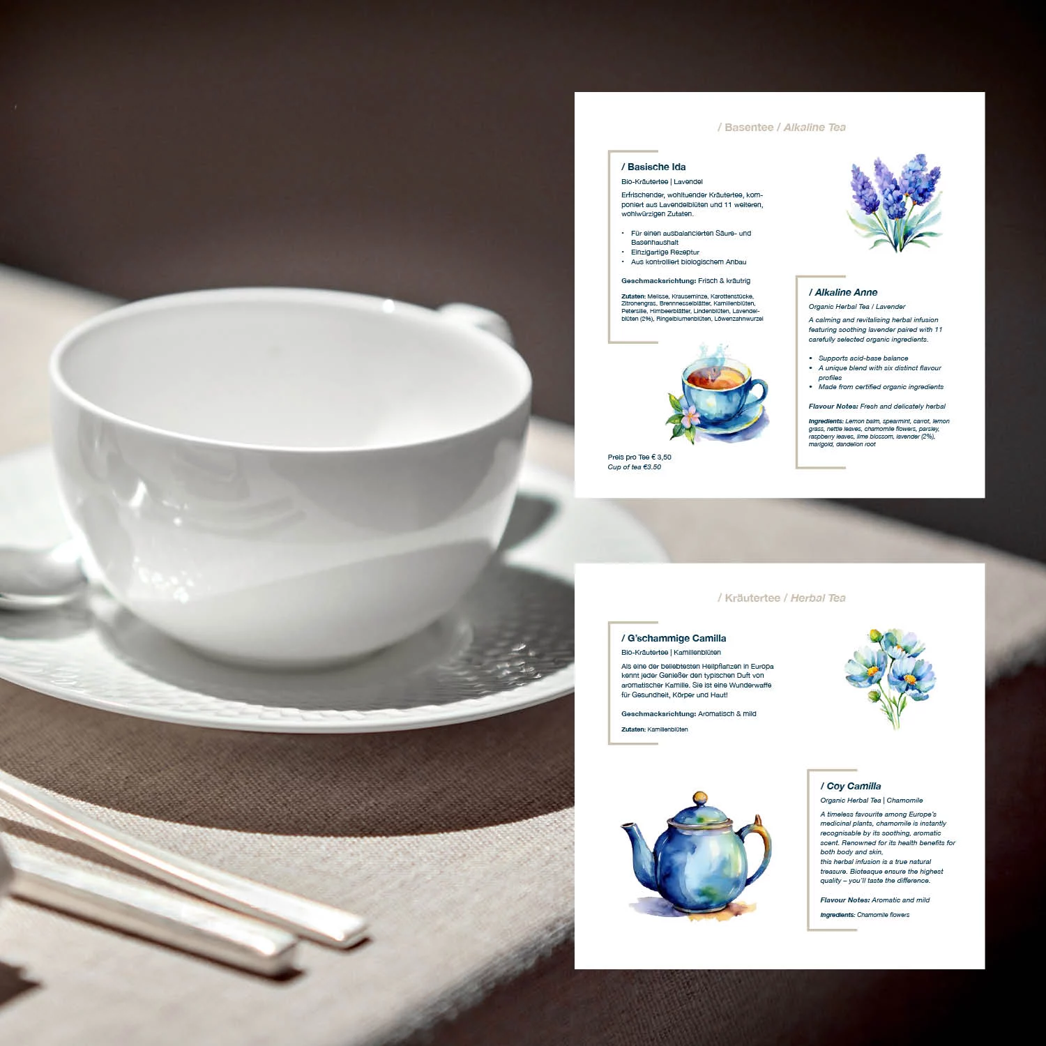 marketing deluxe portfolio mount med resort marketing deluxe portfolio mount med resort