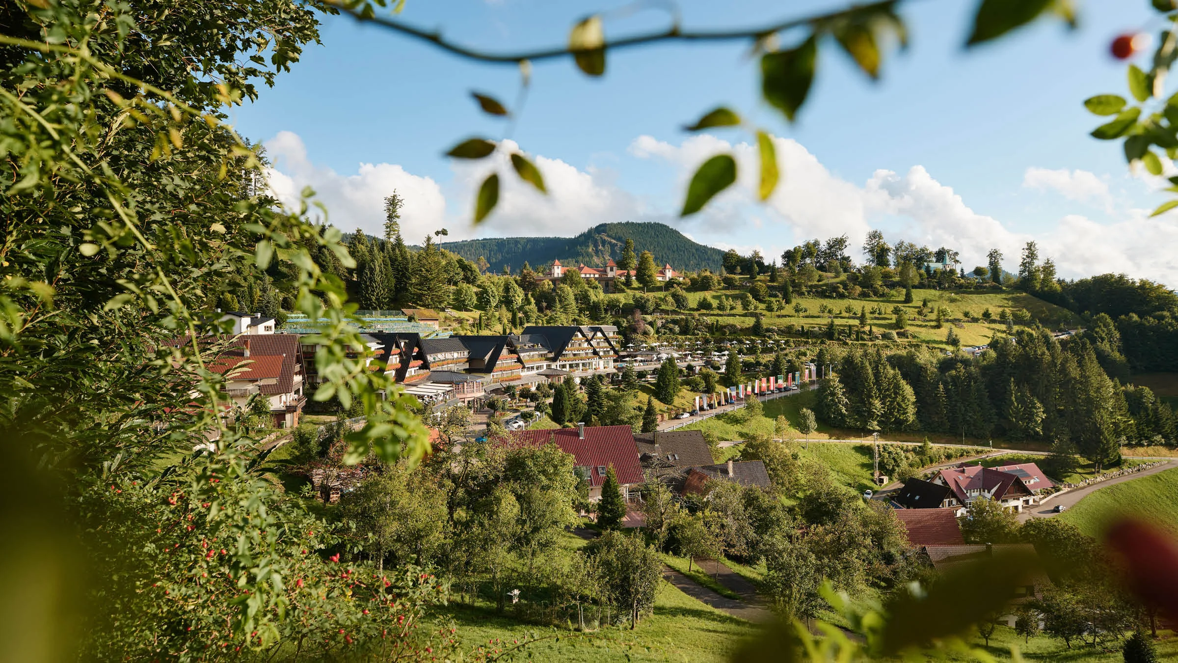 marketing deluxe Nomination dollenberg resort marketing deluxe Nomination dollenberg resort